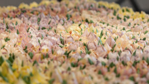 MSepp_PD_Sekretar-2025_ (174)